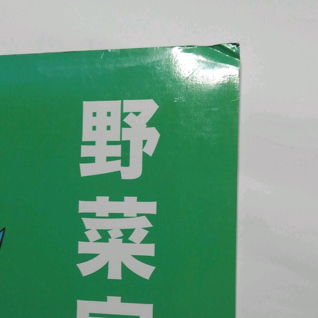 DRAGON BALL  ドラゴンボール　ベジータ　全身ボードパネル