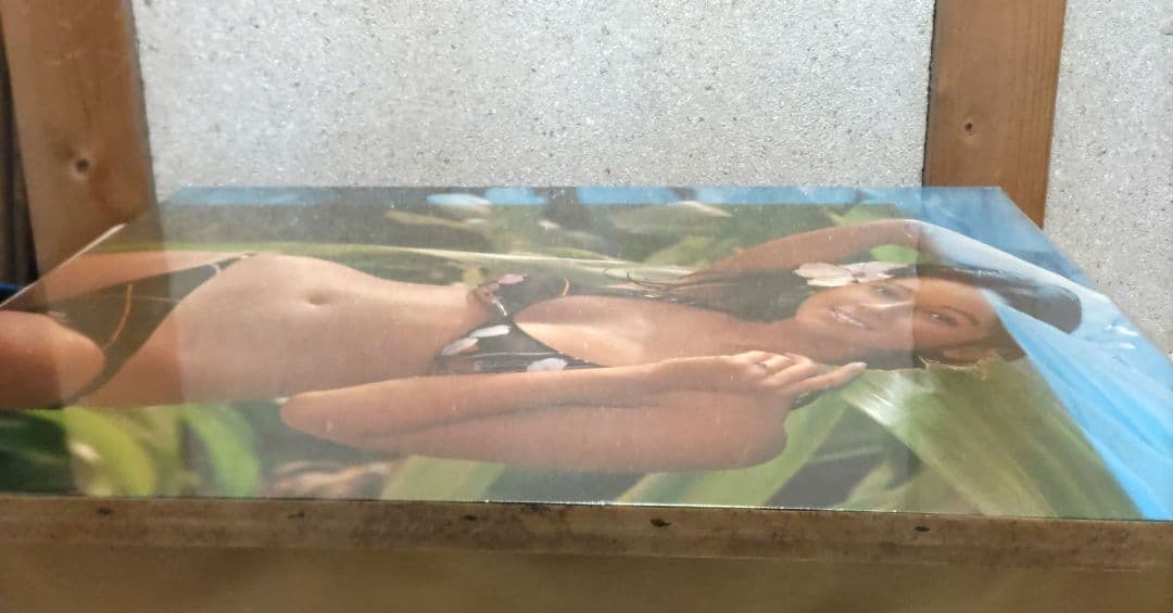 希少！アグネス・ラムパネル