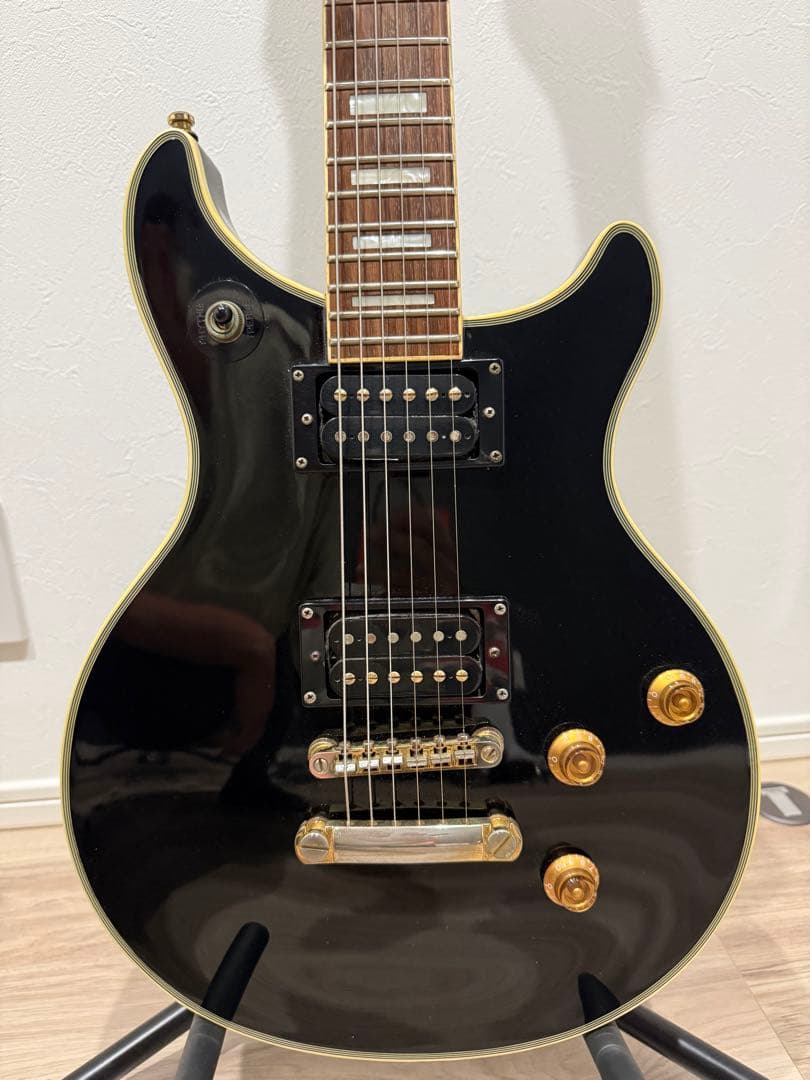 Epiphone tak dc ハードケース付き