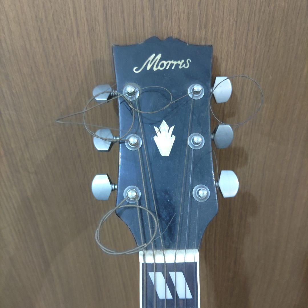 VMPD7-94-3 Morris アコースティックギター WD-25