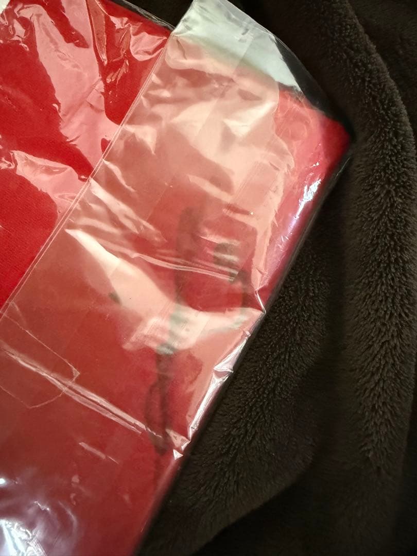 浦和レッズ ACL2017優勝 直筆サイン入りシャツ