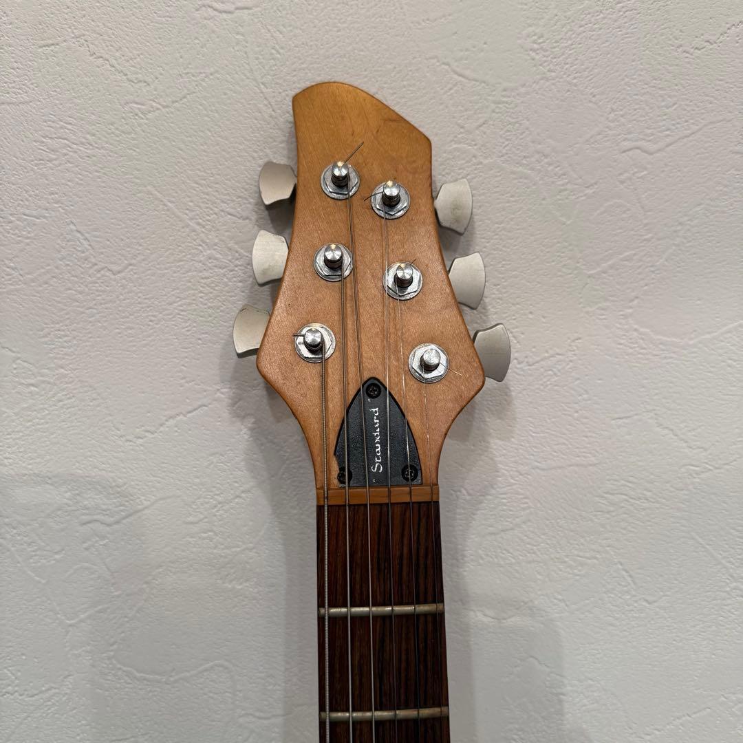 Patrick eggle new york standardハードケース付き