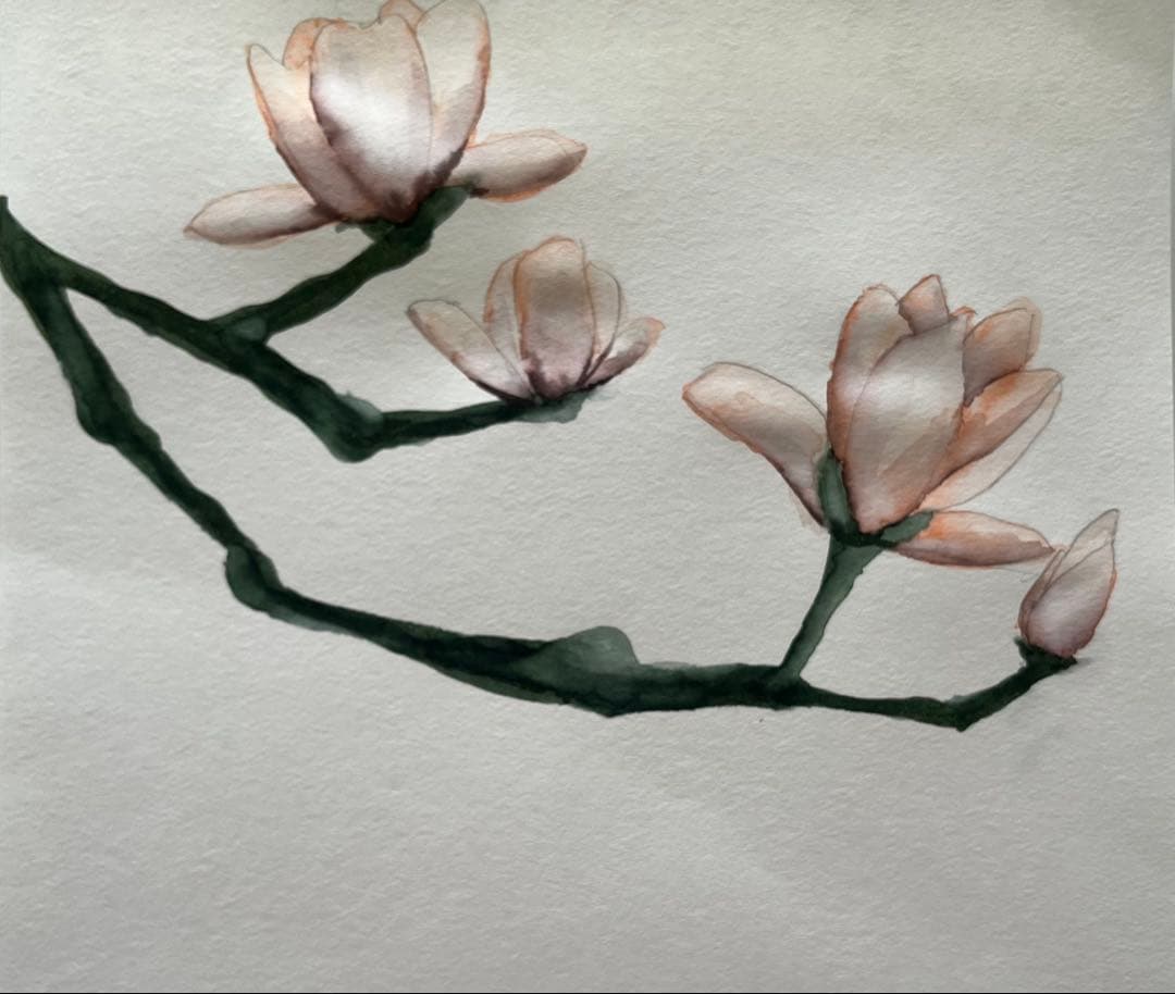 水彩画 花の絵　ボタニカルアート