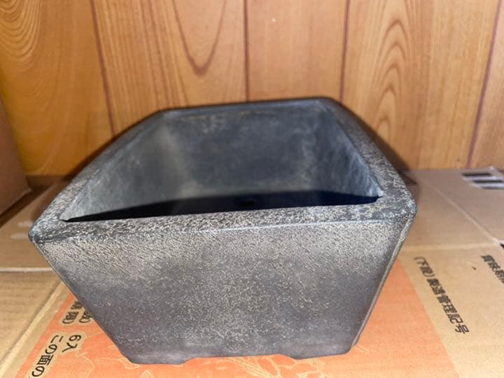 鴻陽　盆栽鉢　植木鉢