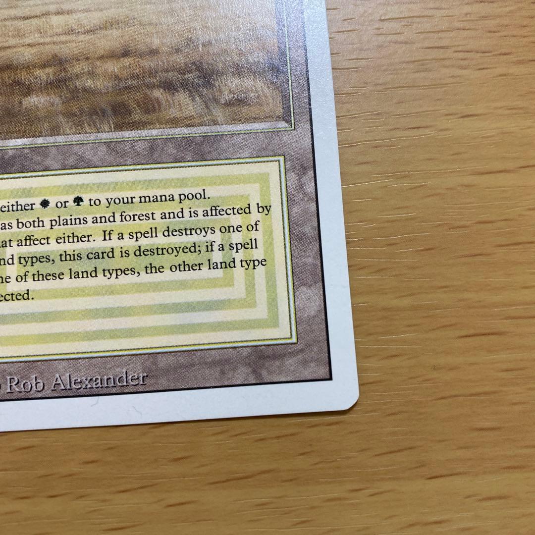 マジック：ザ・ギャザリング MTG Savannah