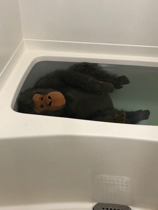 ジャンボ オラウータぬいぐるみ 2匹セット