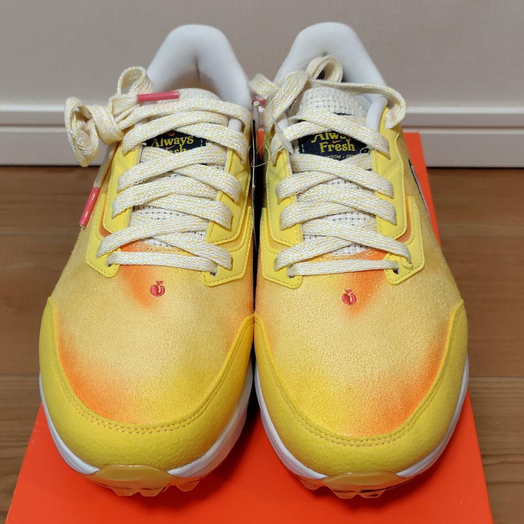 ナイキ ズーム インフィニティ TR ネクスト% NRG W M23