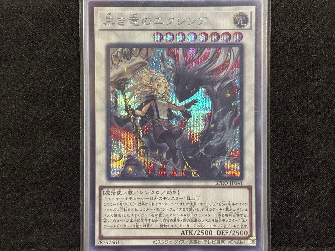 The Fallen of The Virtuous 黒き竜のエクレシア 烙印竜