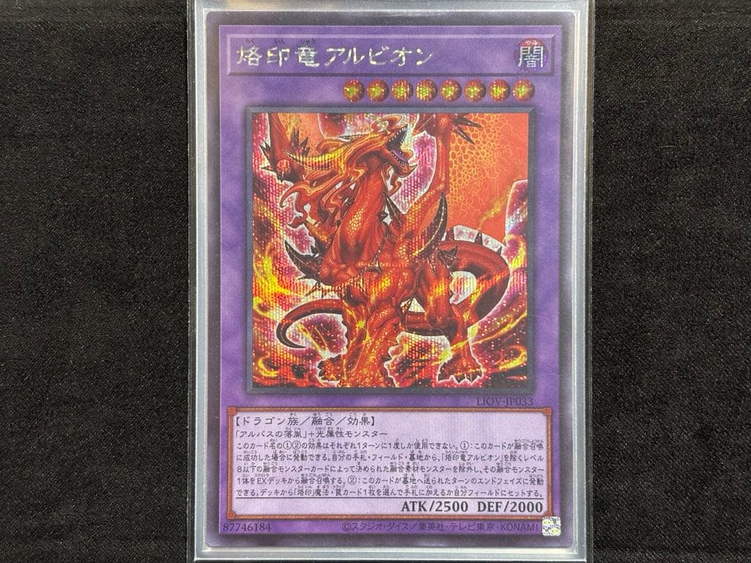 The Fallen of The Virtuous 黒き竜のエクレシア 烙印竜