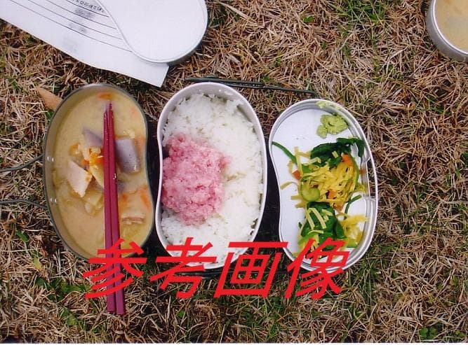 c*e様 自衛隊　本物　戦闘飯盒　Ⅱ型　 はんごう