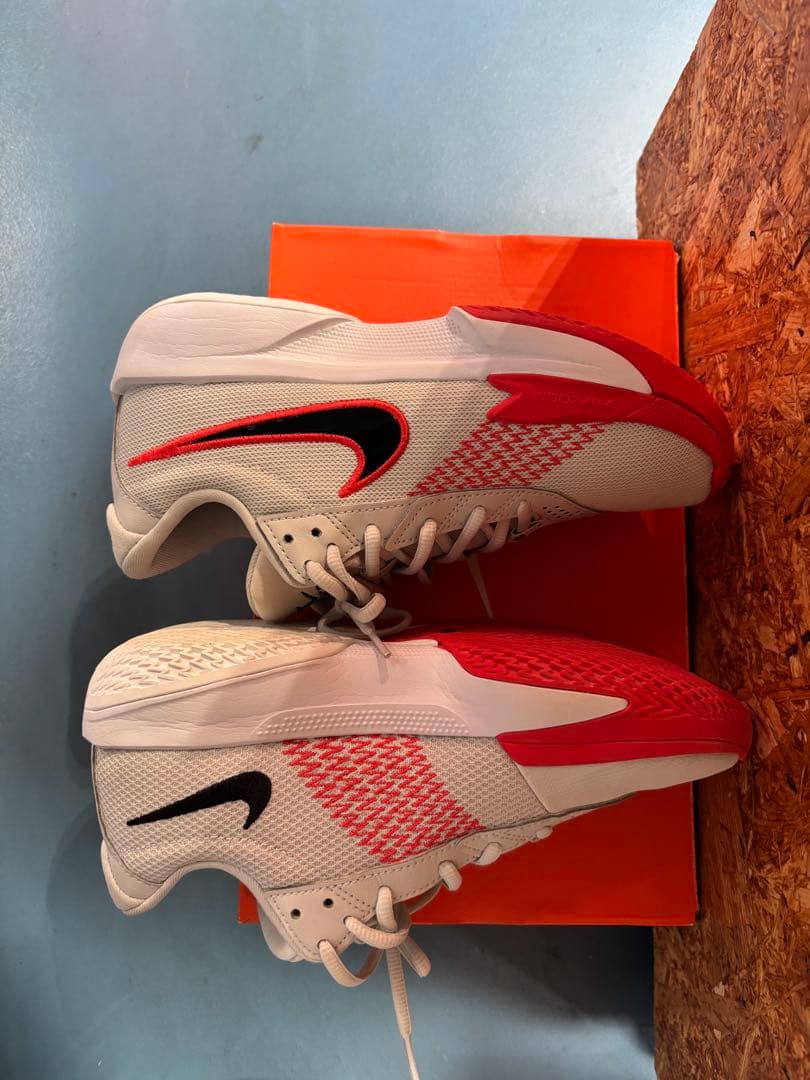 バスケット 24cm ナイキ エア ズームG.T.カット アカデミー EP