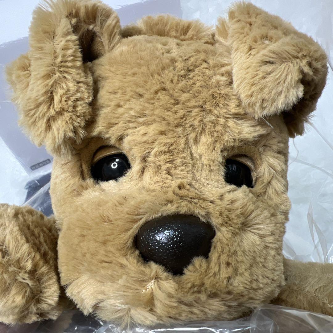 【未使用】おしゃべりダッキー ダッキースター コミュニケーショントイ 介護 知育