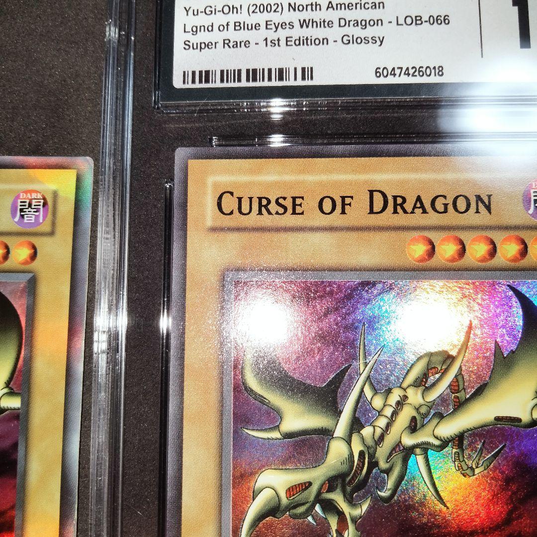 秘蔵 特濃 glossy 1st カースオブドラゴン 初期 CGC10 エラー