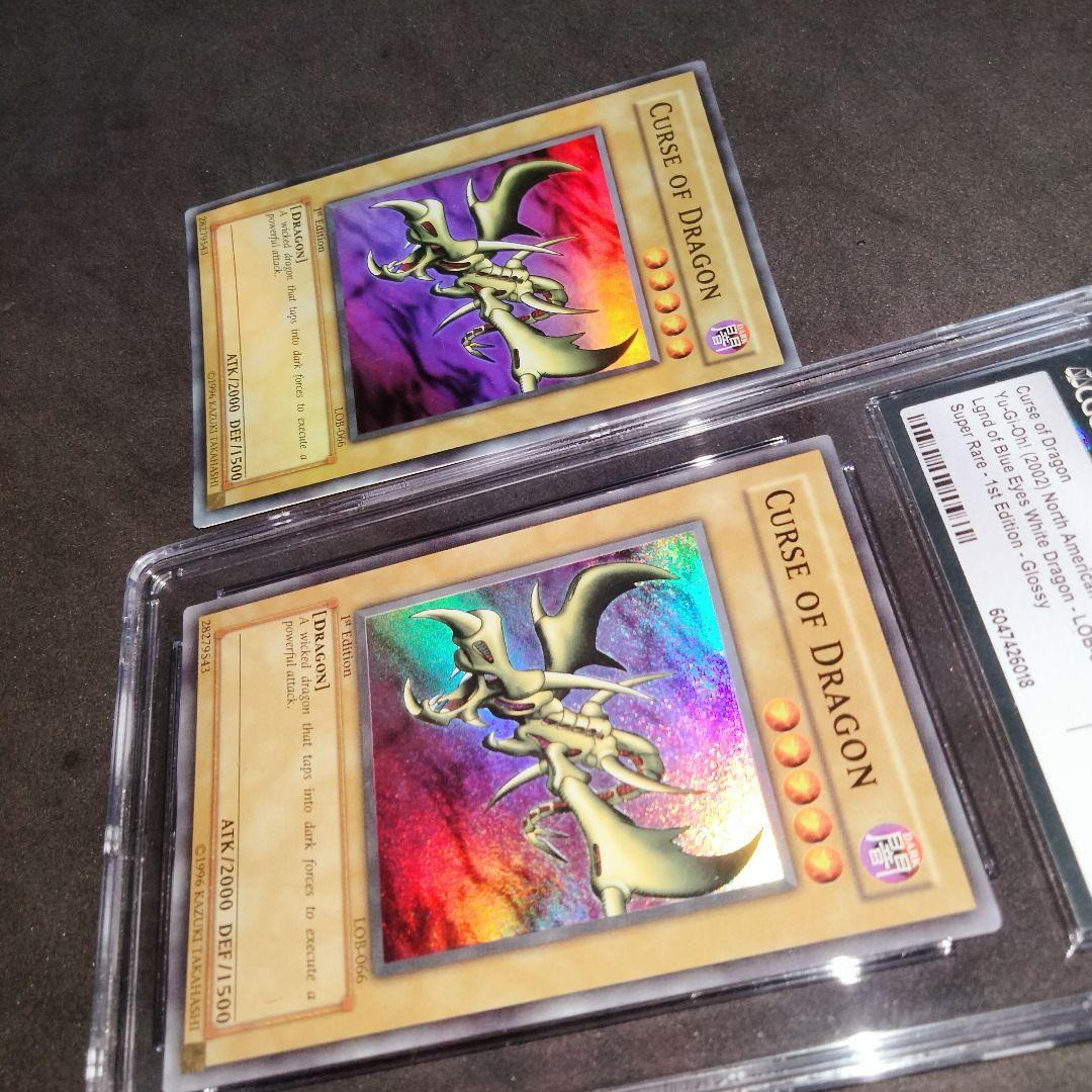 秘蔵 特濃 glossy 1st カースオブドラゴン 初期 CGC10 エラー