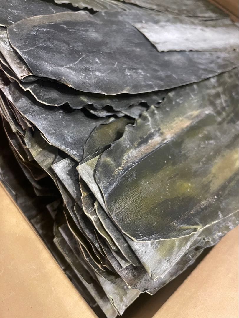 旧南茅部産 真昆布 2年育成最高級銘柄 業務用　プロ用