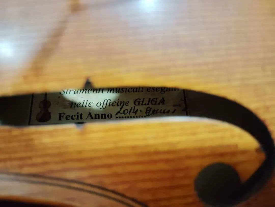 極美品GLIGA Fecit Anno 2014 Gems 1 4/4バイオリン