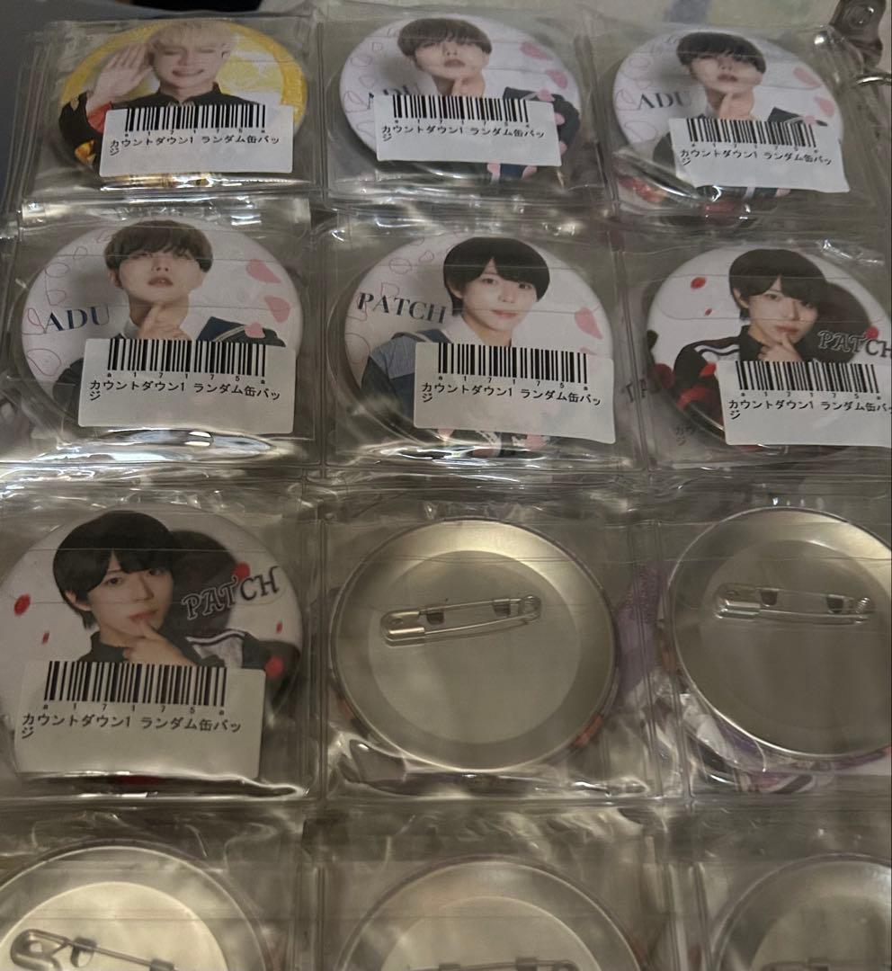 パンダドラゴン 缶バッジ 64個 バラ売り可