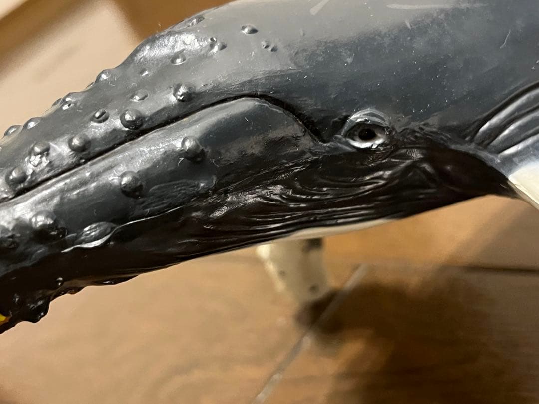 鯨　フィギュア　模型　ザトウクジラ　置物
