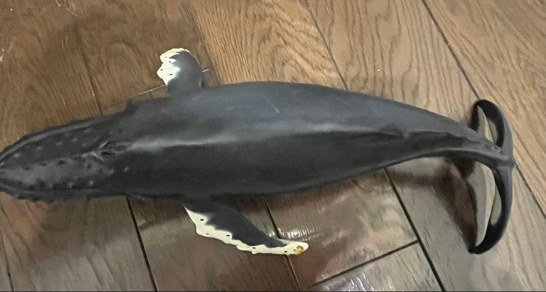 鯨　フィギュア　模型　ザトウクジラ　置物