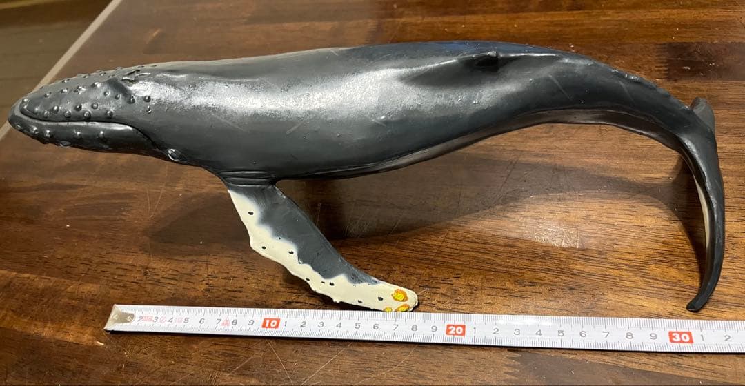 鯨　フィギュア　模型　ザトウクジラ　置物