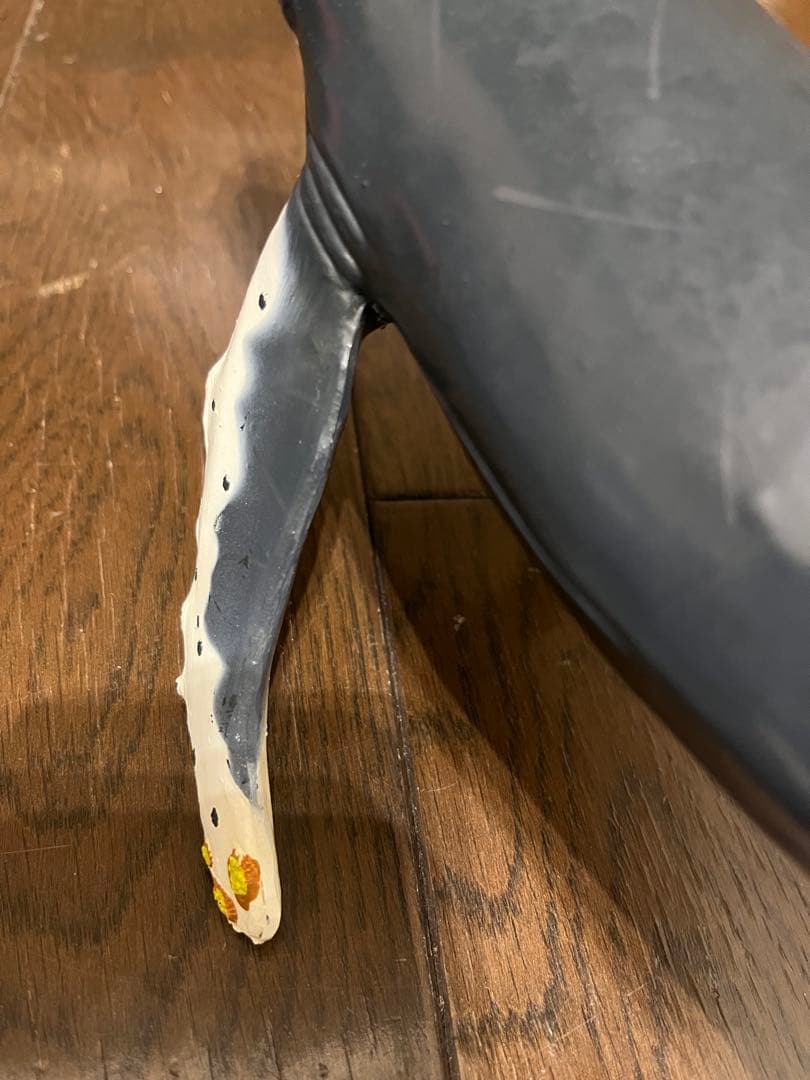 鯨　フィギュア　模型　ザトウクジラ　置物