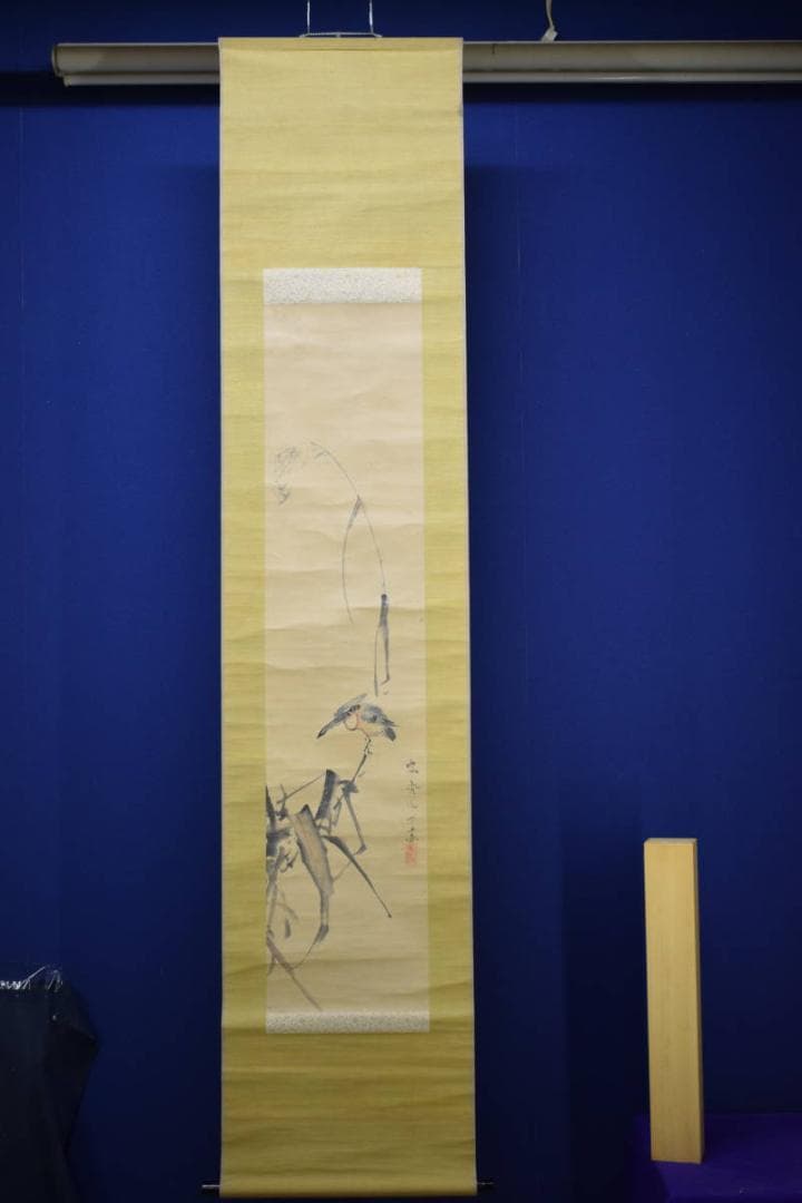 模写/容斎逸士/菊池容斎/芦に翡翠図/カワセミ図/布袋屋掛軸HG-369