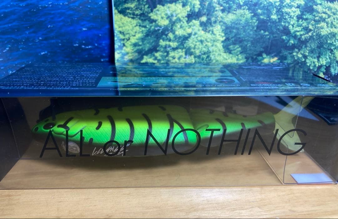 TiNYKLASH Lo 限定カラー　ビレッジタイガー　タイニークラッシュ