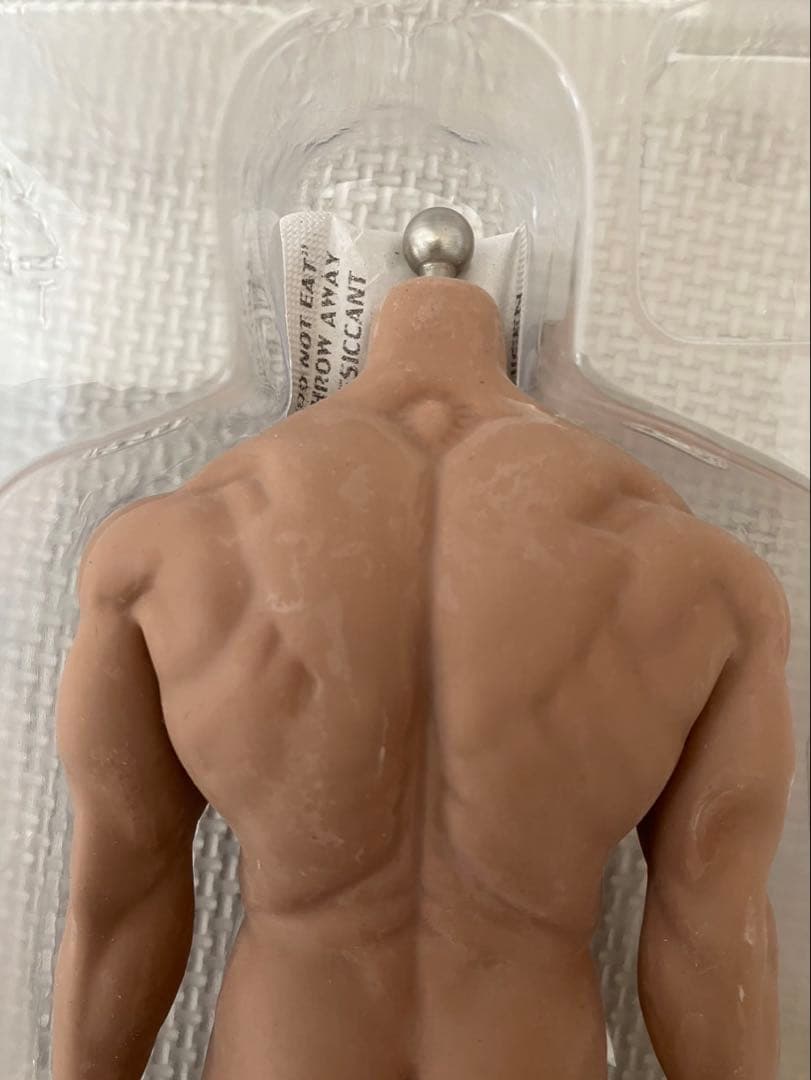 1/6 12インチ シームレス　素体　男性②