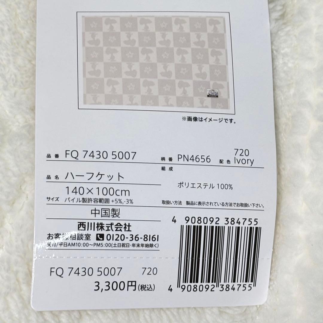 ➁西川 スヌーピー　6点セット　抱き枕　ブランケット　枕カバー　着る毛布