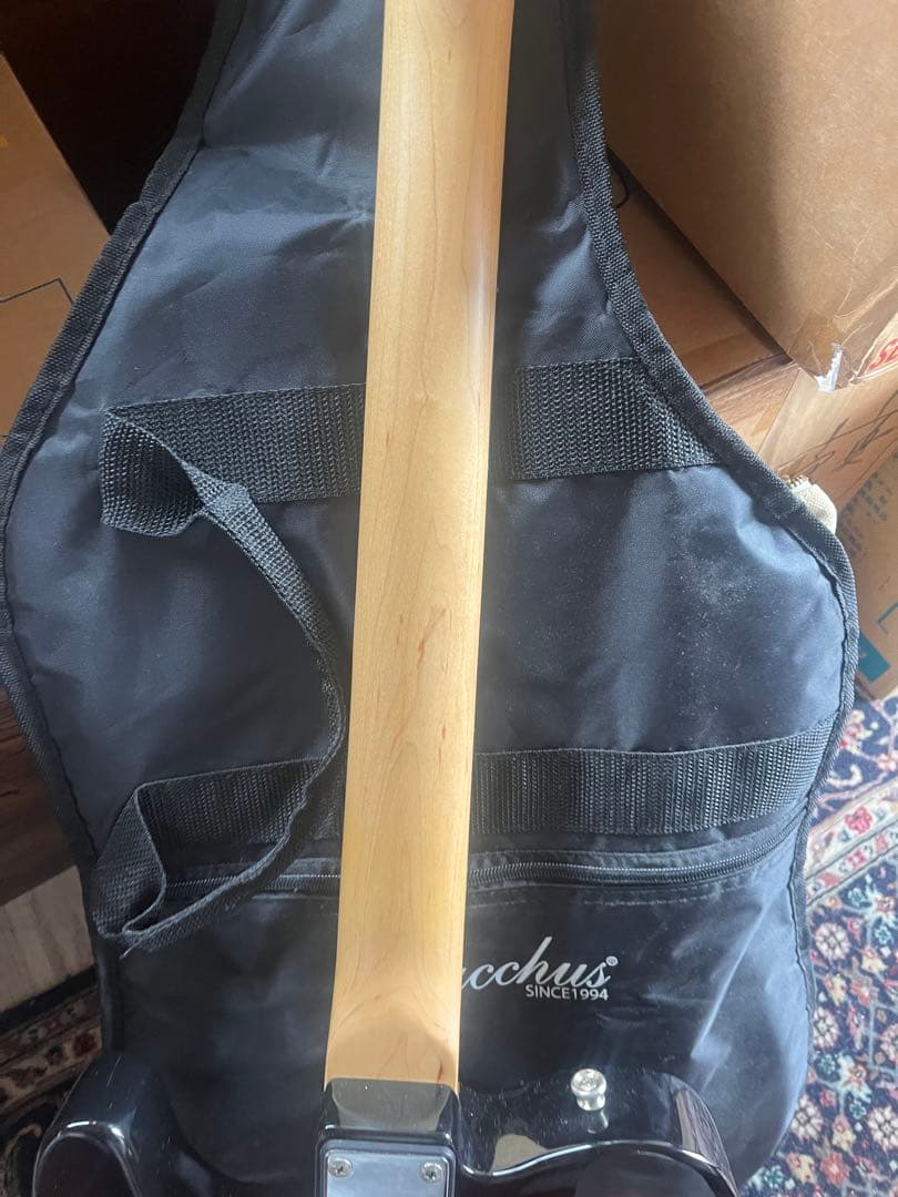 Bacchus BTE-1/R 3TS テレキャスター　ケース付き