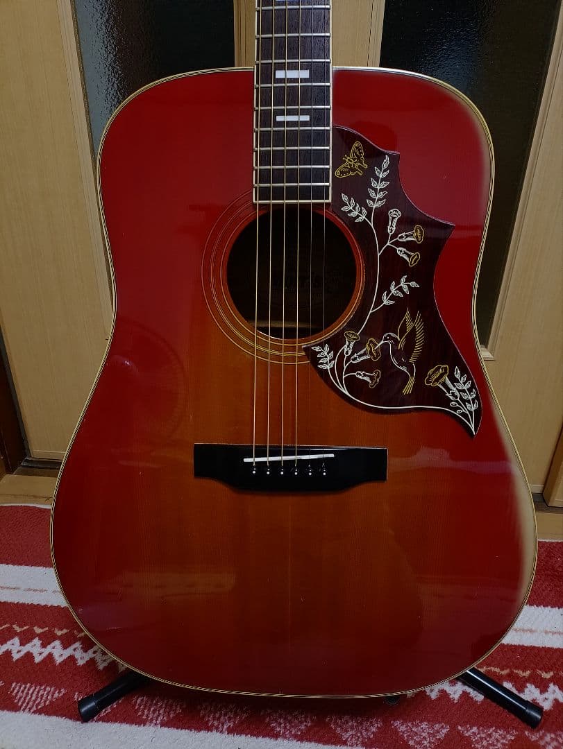 【お盆特価】Morris　 WH25 ハミングバード 日本製