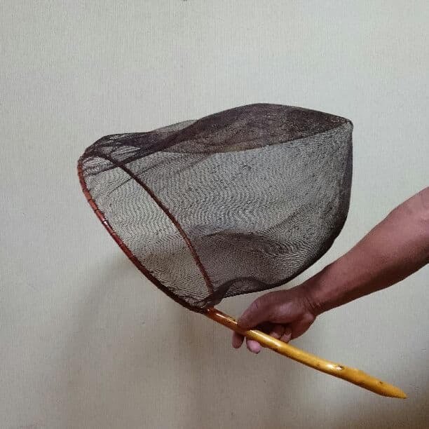 再度お値下げ☆鮎だも