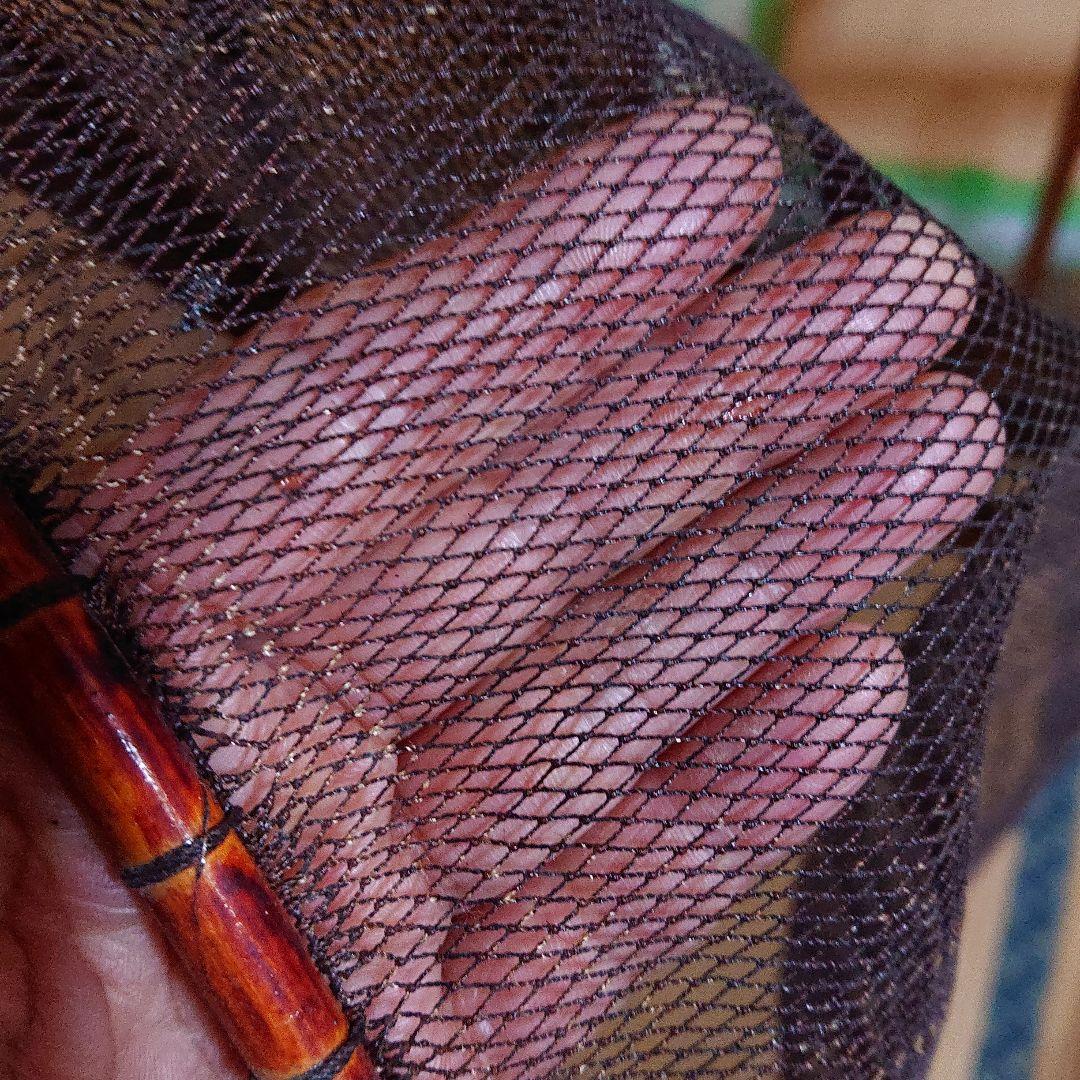 再度お値下げ☆鮎だも