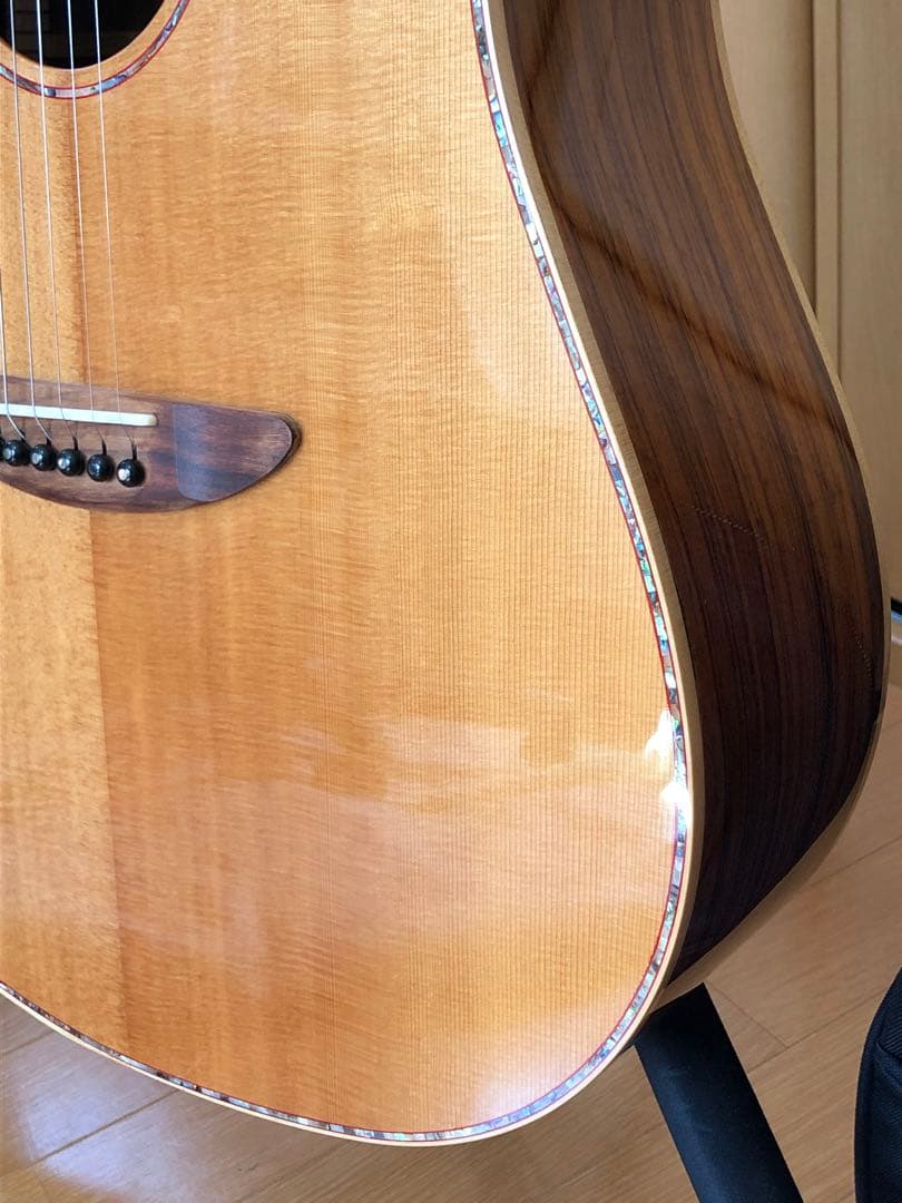 DCT DR-742E エレクトリックアコースティックギター 新品弦+ケース付き