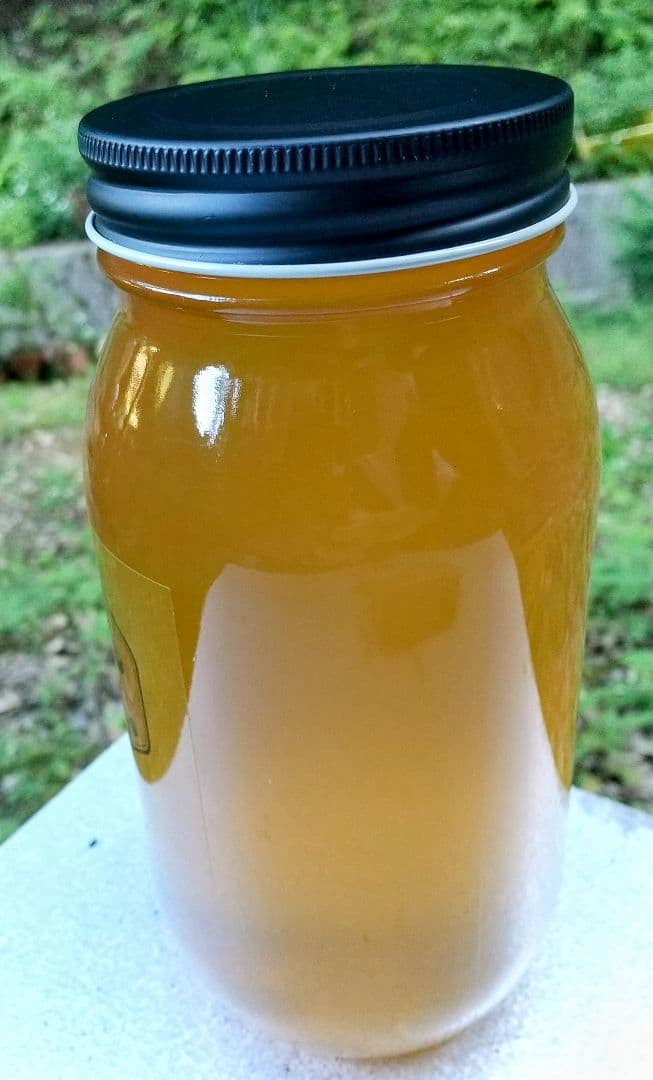 はちみつ 3kg 国産 天然 純粋 蜂蜜 3000g 【養蜂家直送】