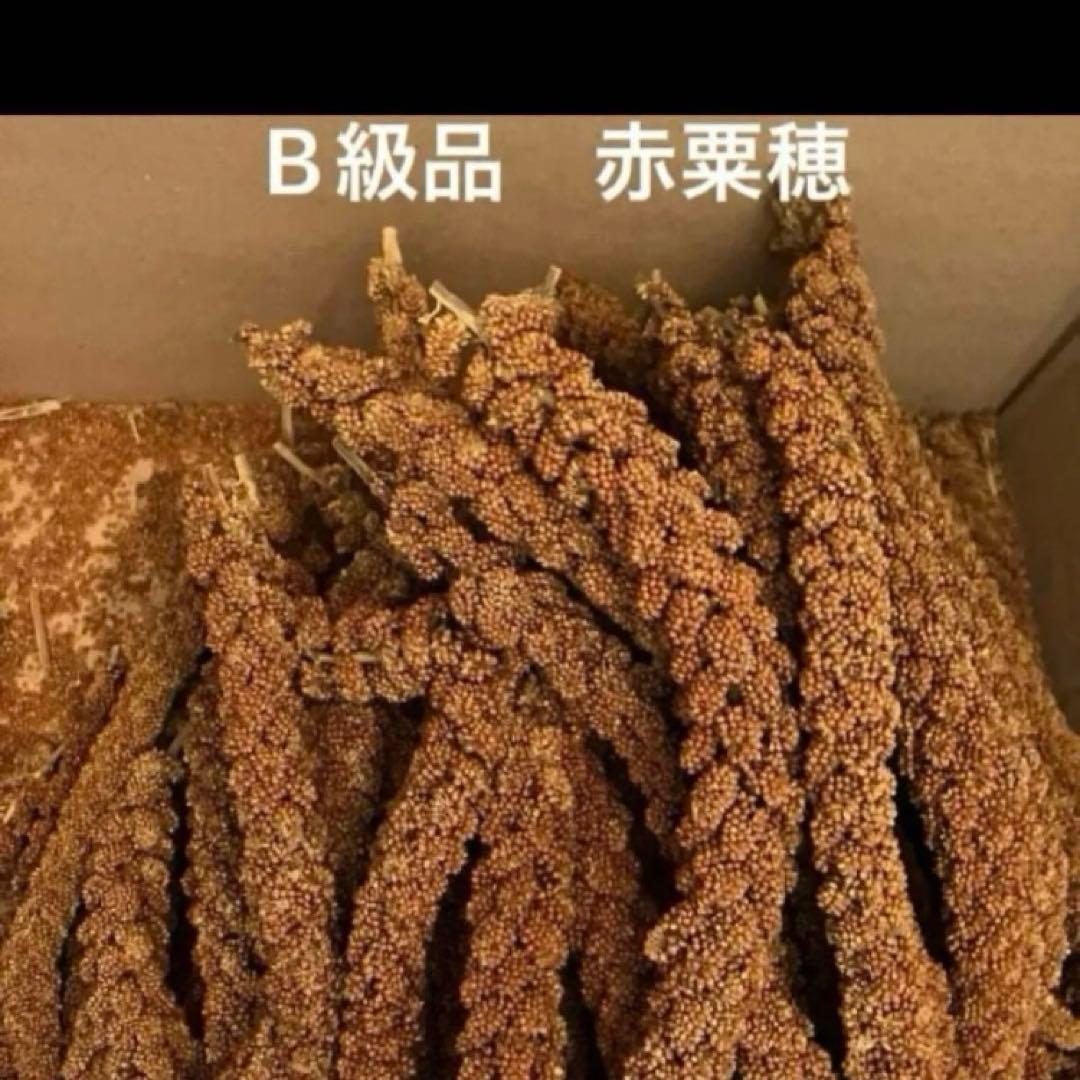 Mona様 リクエスト 6点 まとめ商品