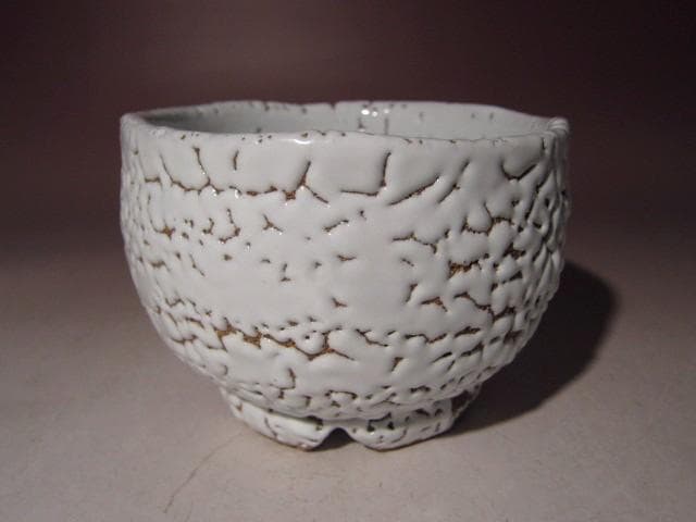 ☆人間国宝十一代三輪休雪　白萩茶碗【雲龍】☆武者小路宮休庵十三代有隣斎☆o528