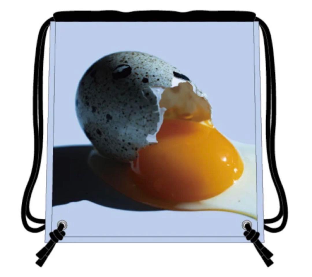 RADWIMPS あにゅー ナップサック 新品未開封