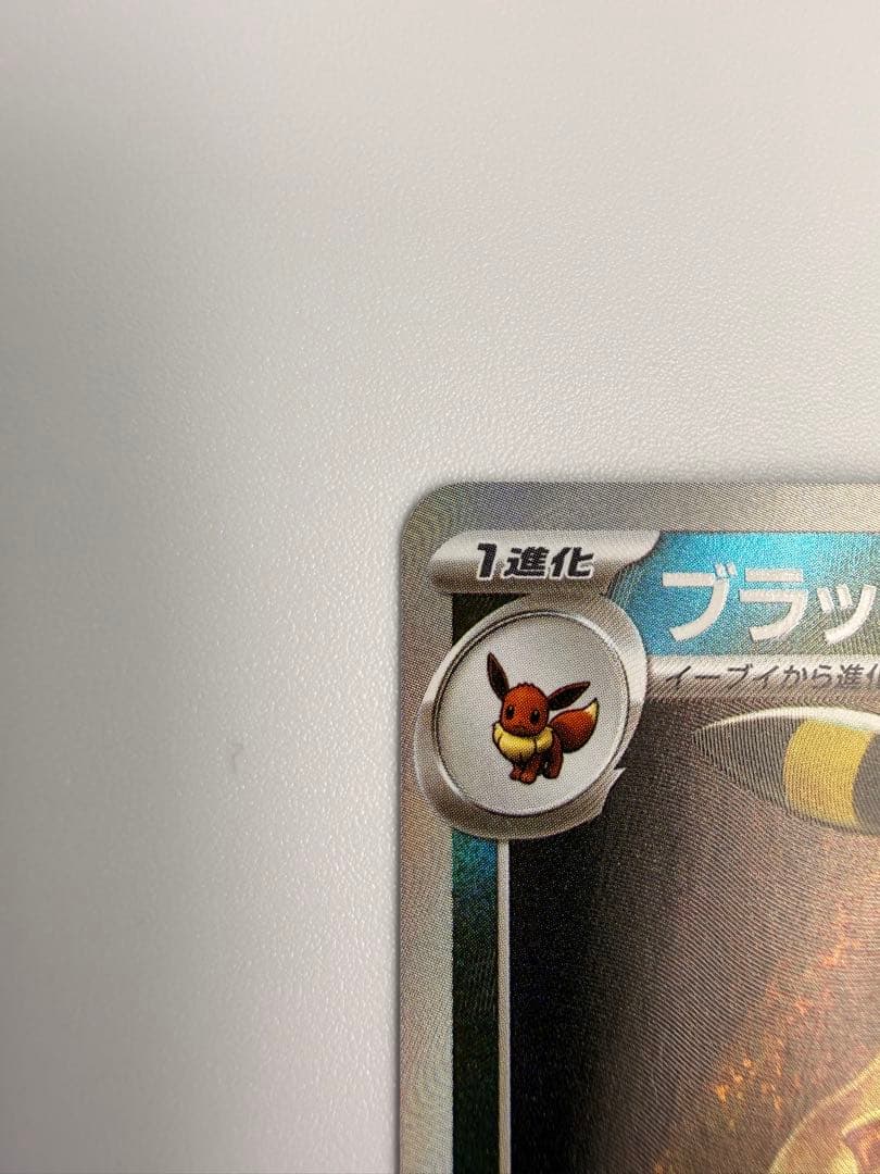 ブラッキー マスターボール 美品