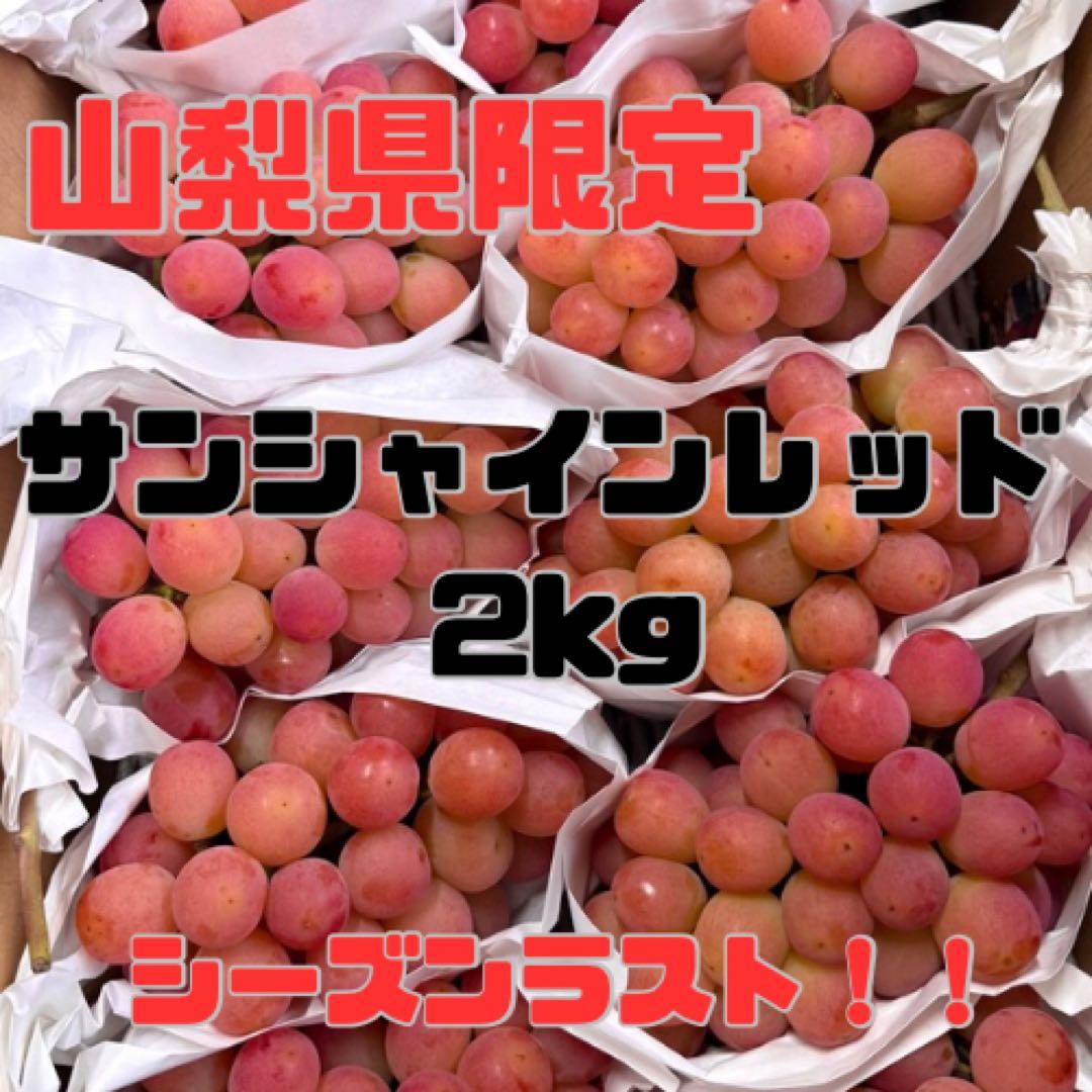 【山梨県限定品種】サンシャインレッド4房2kg以上 【産地直送】