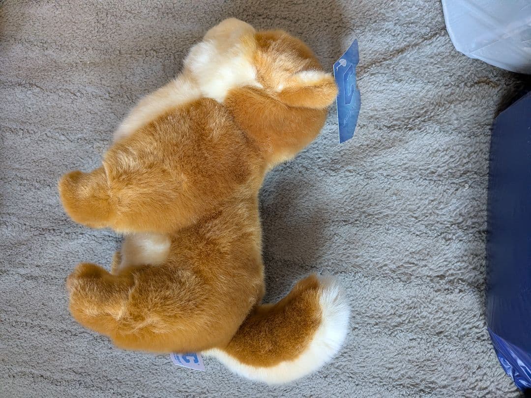 (激レア)櫻坂 しかくに