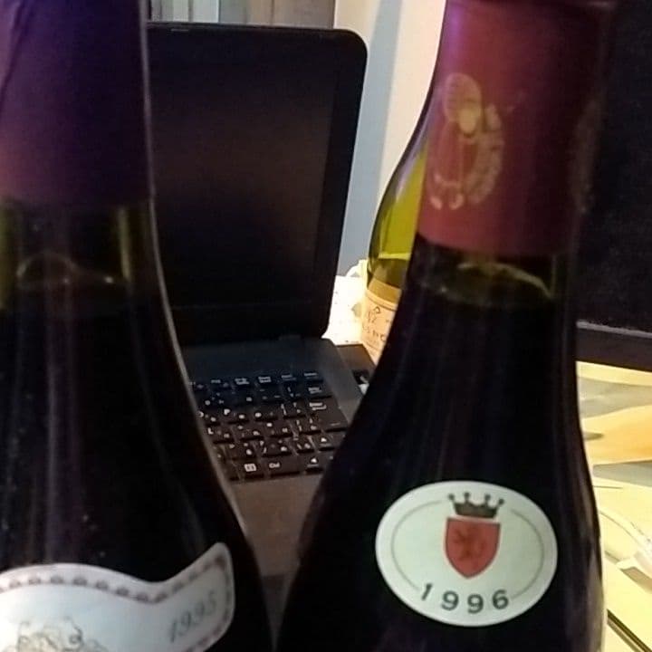 アロースコルトン1995,ラドワプルミエクリュ1996