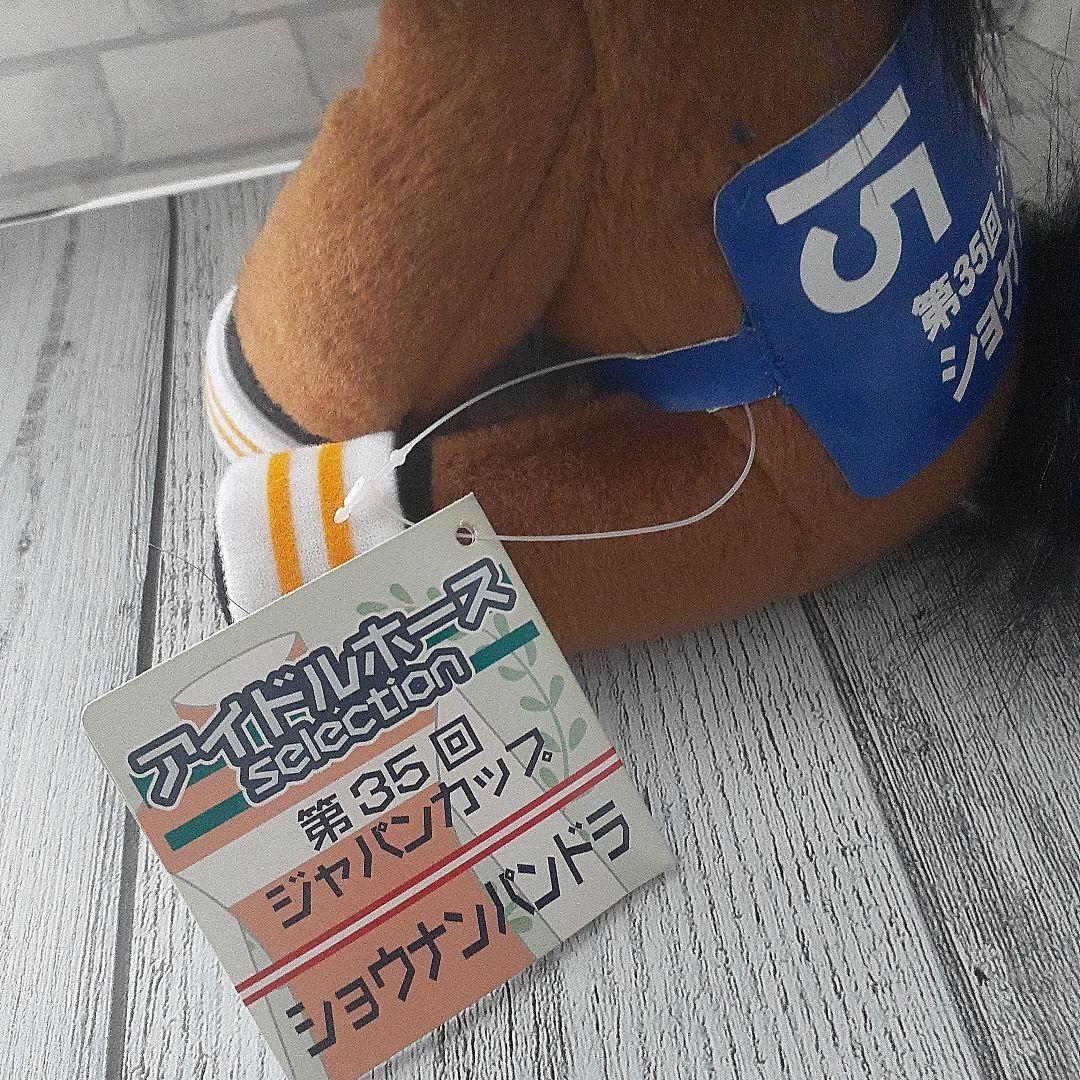 アイドルホース　ショウナンパンドラ