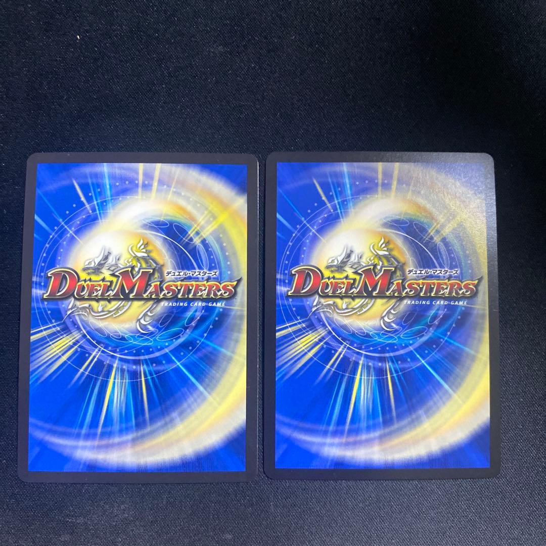 ドルファディロム b 2枚