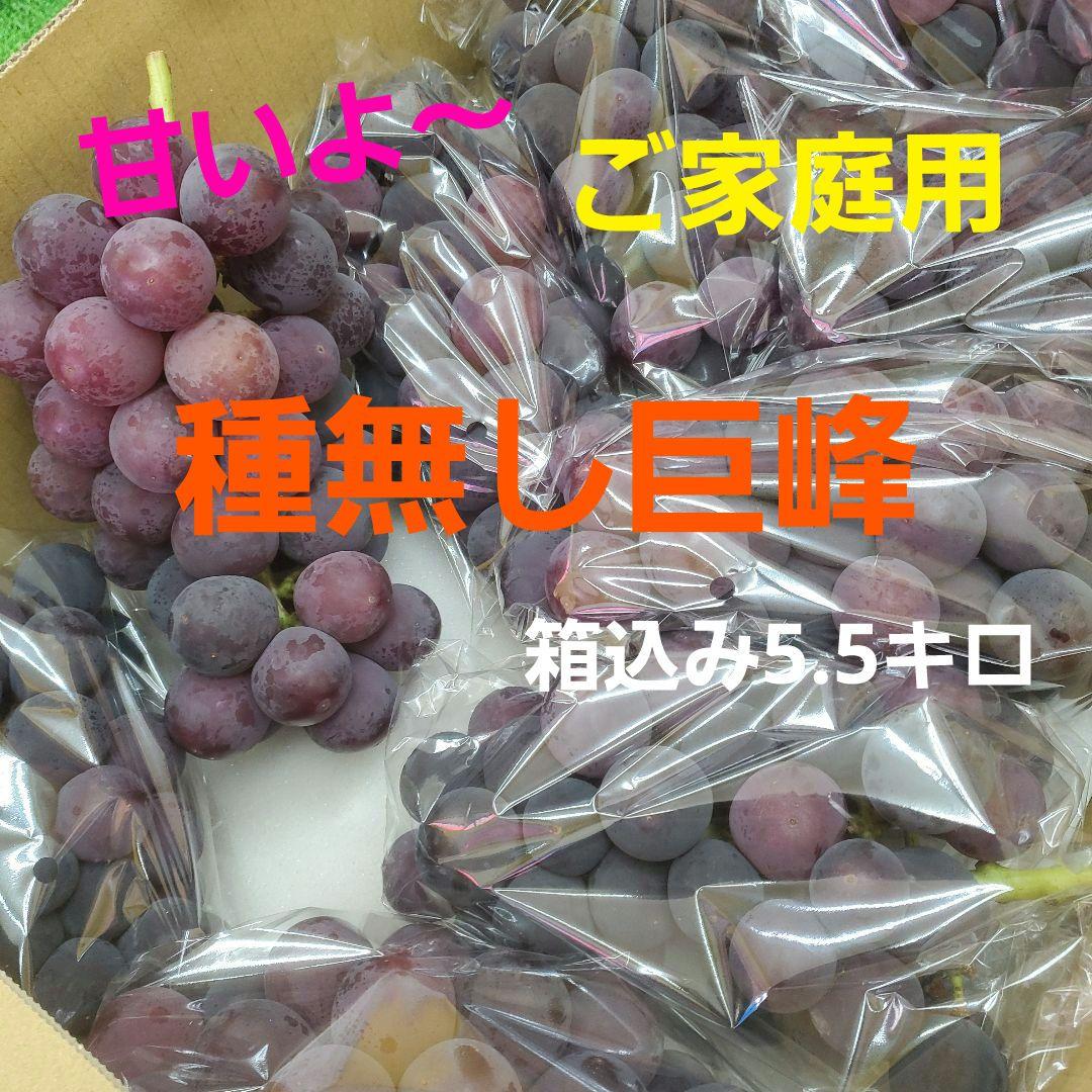 1⃣ 山梨県産 種無し巨峰 ９房入り 箱込み5.5キロ