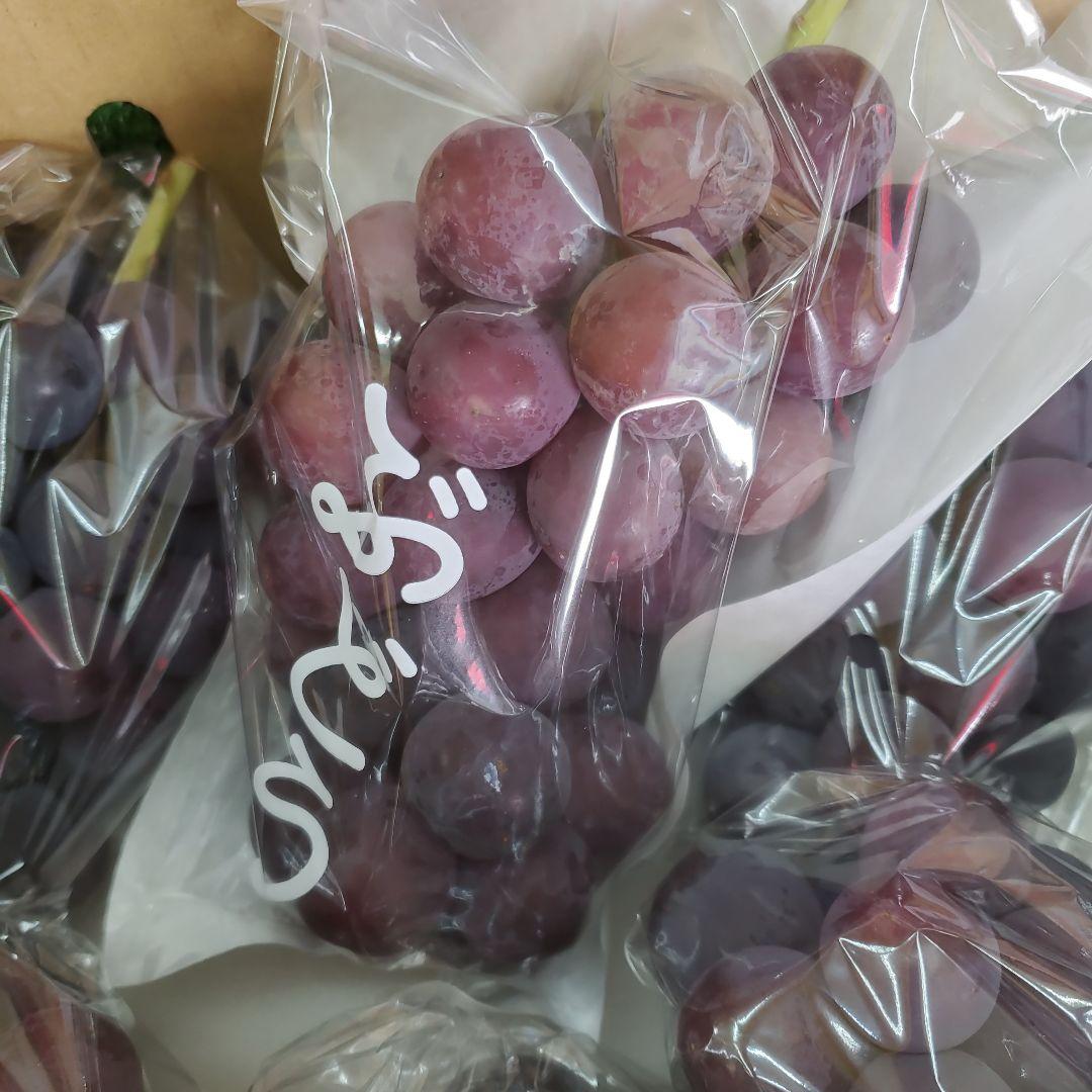 1⃣ 山梨県産 種無し巨峰 ９房入り 箱込み5.5キロ