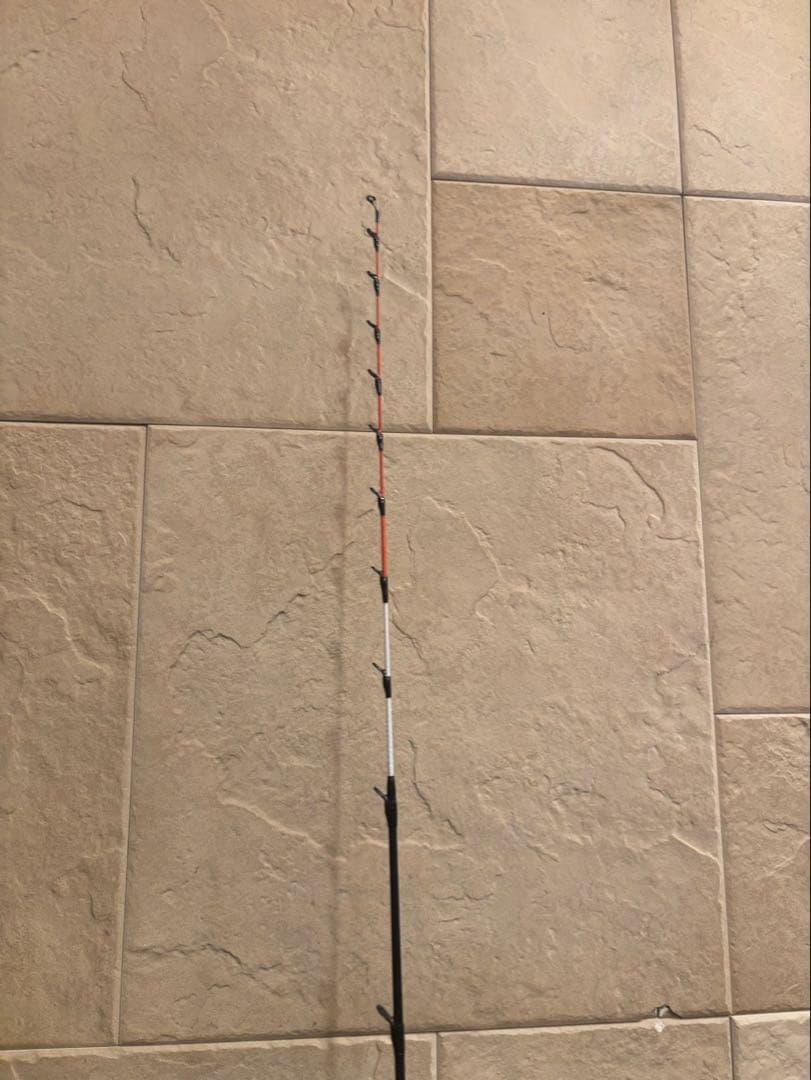 DAIWA 極鋭タチウオ　テンヤ SP EX AGS