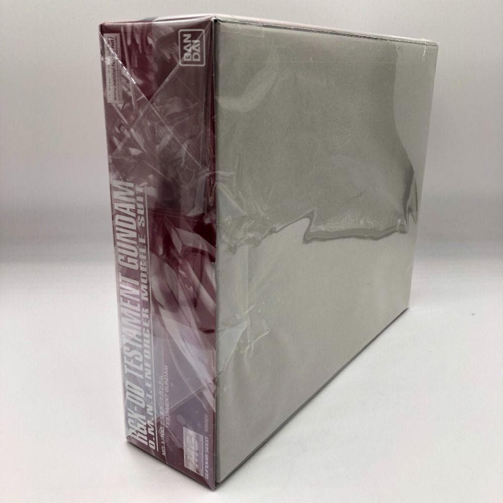 MG ZGMF-X12A/RGX-00 テスタメントガンダム ASTRAY