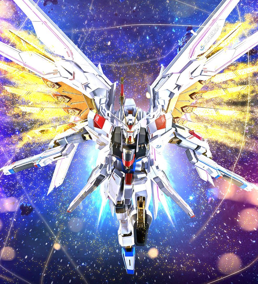 メタルロボット魂 ストライクフリーダムガンダム弐式 プラウドディフェンダー