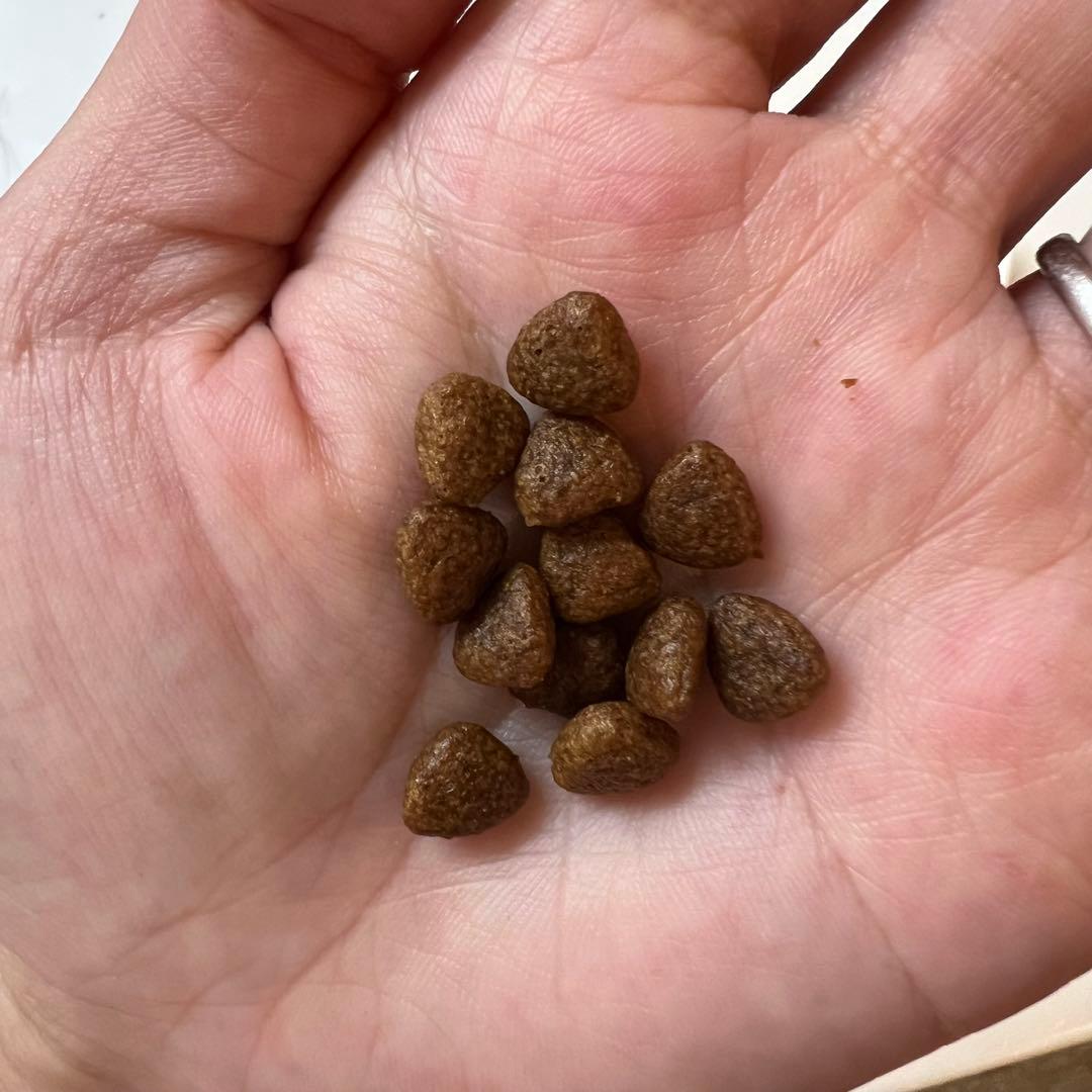 お得！送料込み！ELMO(エルモ)オーガニックドックフード※成犬用